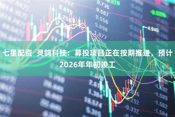 七星配资  灵鸽科技：募投项目正在按期推进，预计2026年年初竣工