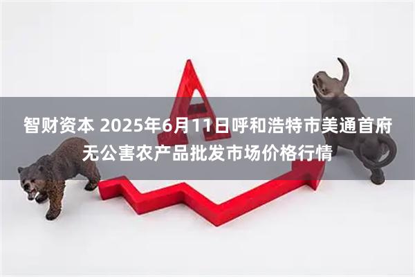 智财资本 2025年6月11日呼和浩特市美通首府无公害农产品批发市场价格行情